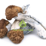 Beyond the Brew: Discovering the Benefits of Magic Mushroom Capsules
