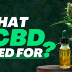 What Is CBD Used For?