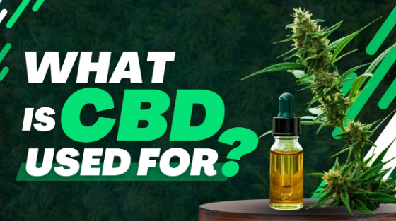 What Is CBD Used For?