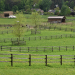 How Best to Protect Your Rural Property