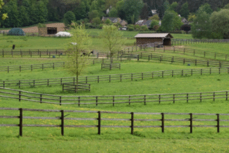 How Best to Protect Your Rural Property
