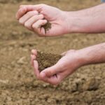 MannaCote" likely refers toa brand of controlled-release fertilizer