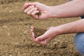 MannaCote" likely refers toa brand of controlled-release fertilizer