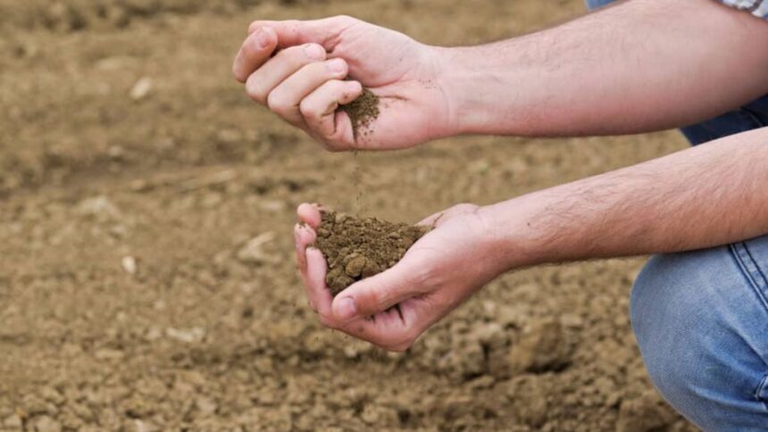MannaCote" likely refers toa brand of controlled-release fertilizer