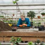 The Role of Greenhouses in Supporting Year-Round Harvests