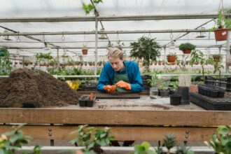 The Role of Greenhouses in Supporting Year-Round Harvests
