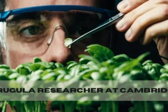arugula researcher at cambridge
