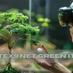 tex9 net green it