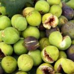 Everything You Need to Know About byadi