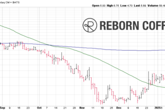 REBN Stock