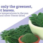 Moringa Magic Reviews: Unveiling the Benefits and Results