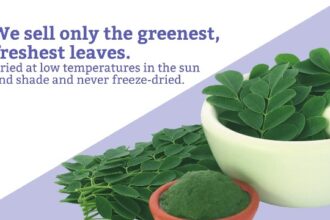 Moringa Magic Reviews: Unveiling the Benefits and Results