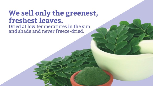 Moringa Magic Reviews: Unveiling the Benefits and Results
