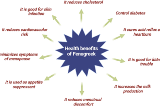 Foenegriek: The Ancient Superfood with Modern Health Benefits