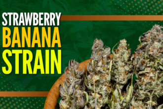 Strawberry Banana Weed Strain Information and Customer Reviews (2025)