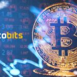 eCryptoBit.com: Your Gateway to Bitcoin Mastery