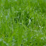 what is zuschneidfelle?