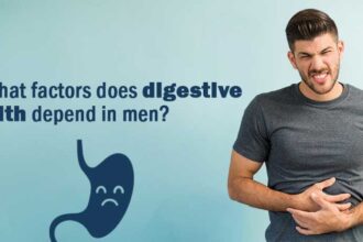 On what factors does digestive health depend in men?