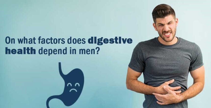 On what factors does digestive health depend in men?