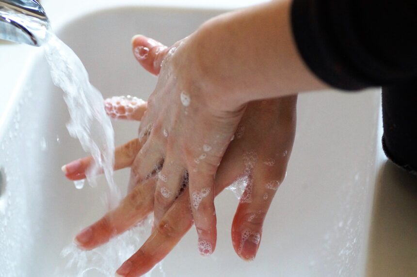 Como Pular os Germes: Guia Completo de Higiene e Prevenção