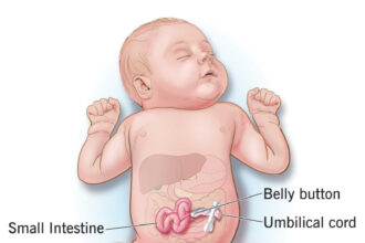What Is gastroshiza and How Does It Work?