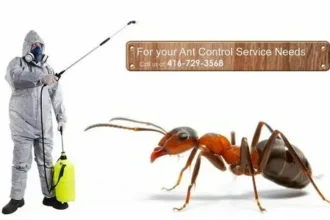 Ant Control