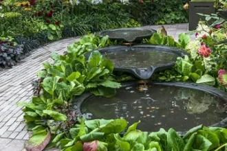 Creating Tranquil Spaces