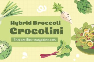 Crocolini: The Italian Bread That's Captivating Food Lovers