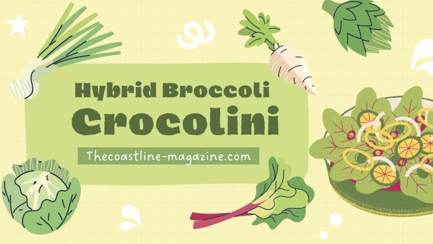 Crocolini: The Italian Bread That's Captivating Food Lovers