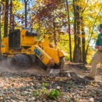 Beyond the Chainsaw: Why Stump Grinding Is Regina’s Best Kept Landscaping Secret