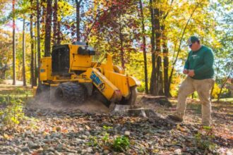 Beyond the Chainsaw: Why Stump Grinding Is Regina’s Best Kept Landscaping Secret