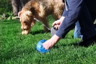 Poop Scooper