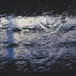Climate Change, Storms, Floods: How Businesses Can Protect Their Premises from Natural Disasters