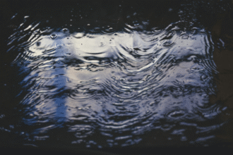 Climate Change, Storms, Floods: How Businesses Can Protect Their Premises from Natural Disasters