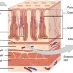 Uropathogens