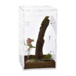 Wholesale Reptile