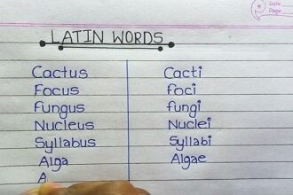 english to latin