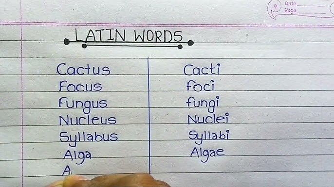 english to latin