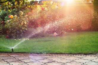 The Expensive Mistakes to Avoid in Sprinkler System Installation (And How to Do It Right the First Time)