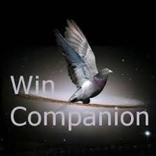 wincompanion