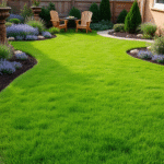 Creating A Lush, Low-Maintenance Lawn: Practical Tips for Busy Gardeners