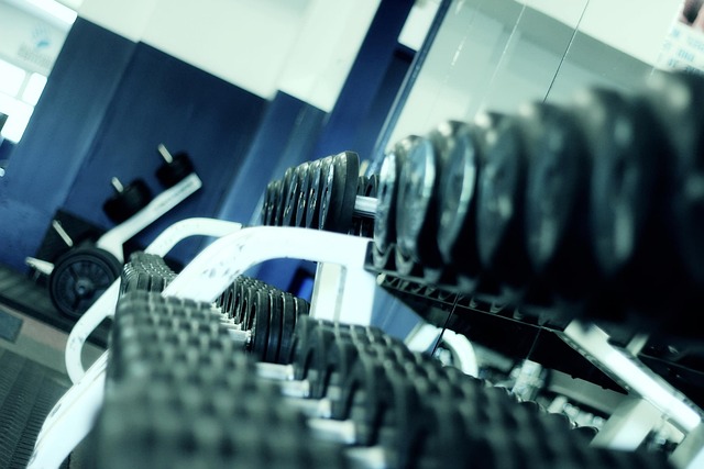 delta fitness authority