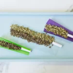 Blunt