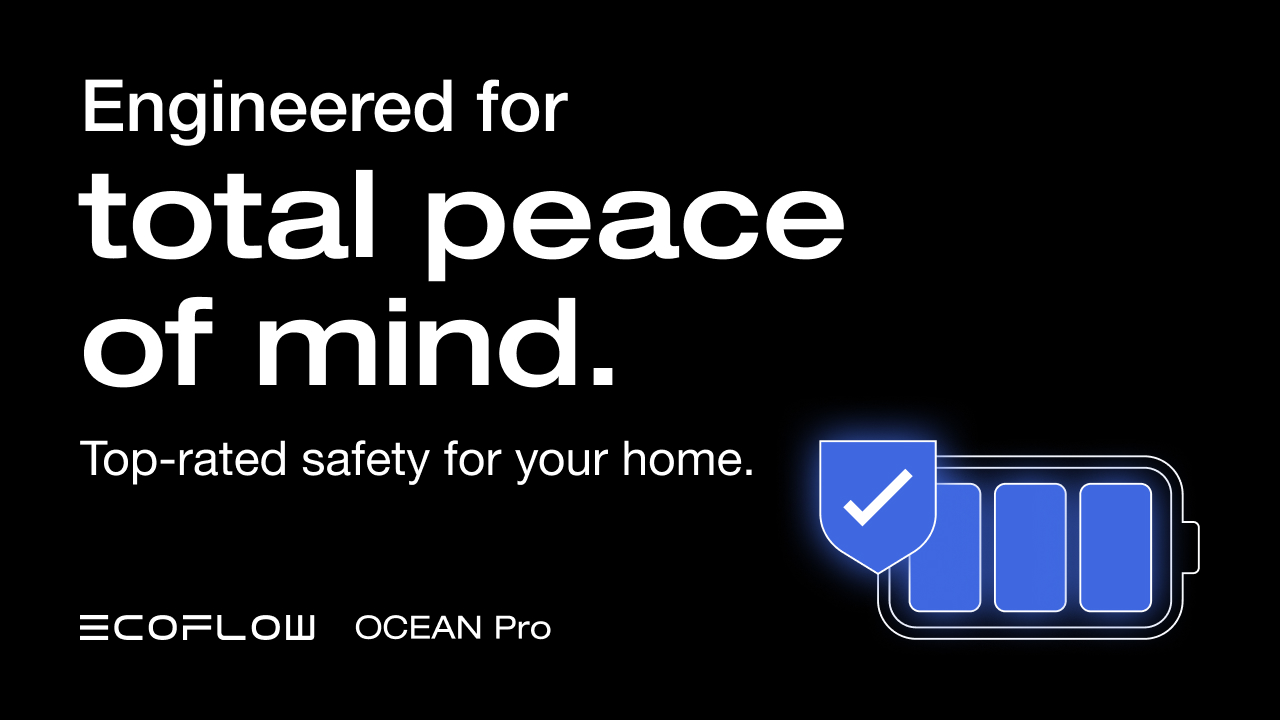 EcoFlow OCEAN Pro