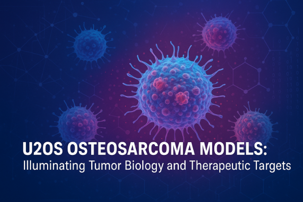 U2OS Osteosarcoma Models