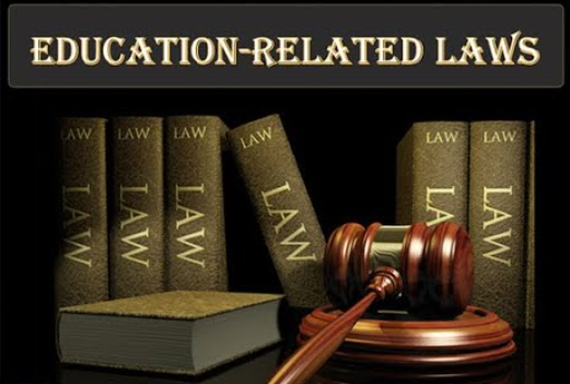 Education law in 2025: Fees, VAT reform, and judicial review