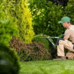 The Hidden Benefits of Professional Landscaping Maintenance