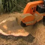 Tree Removal