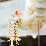 The Anatomy of Back Pain: What Your Spine Is Telling You