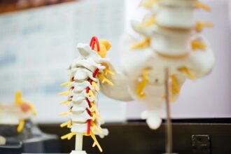The Anatomy of Back Pain: What Your Spine Is Telling You
